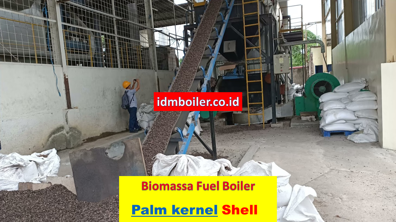 biomass palm shell boiler