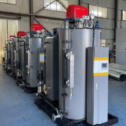 delon boiler