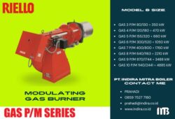 RIELLO GAS PM SERIES