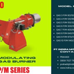RIELLO GAS PM SERIES