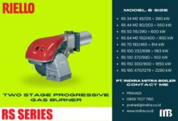 Riello RS Series