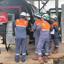 service and supply thermal oil heater