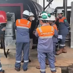 thermal oil heater supply and service